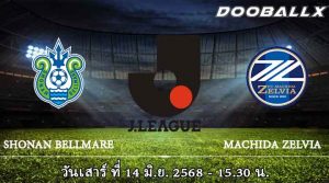 โชนัน เบลล์มาเร่ vs มาชิดะ เซลเวีย